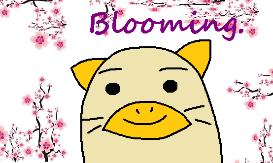 sakura.png